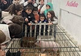 'Martintxo', adorado entre los niños, se queda en casa por prevención.