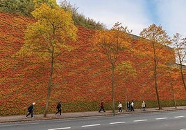 Fotomontaje de la propuesta de jardín vertical para el muro de San Bartolomé.
