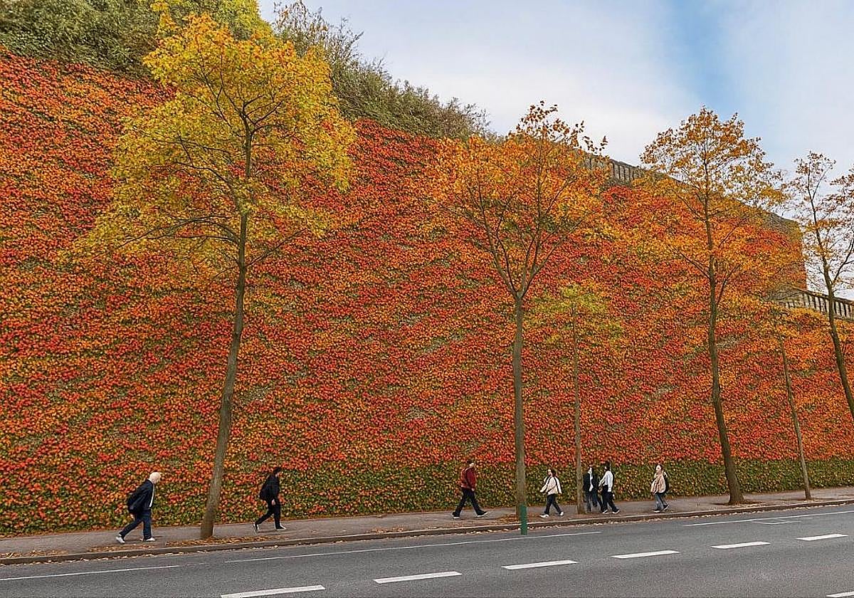 Fotomontaje de la propuesta de jardín vertical para el muro de San Bartolomé.