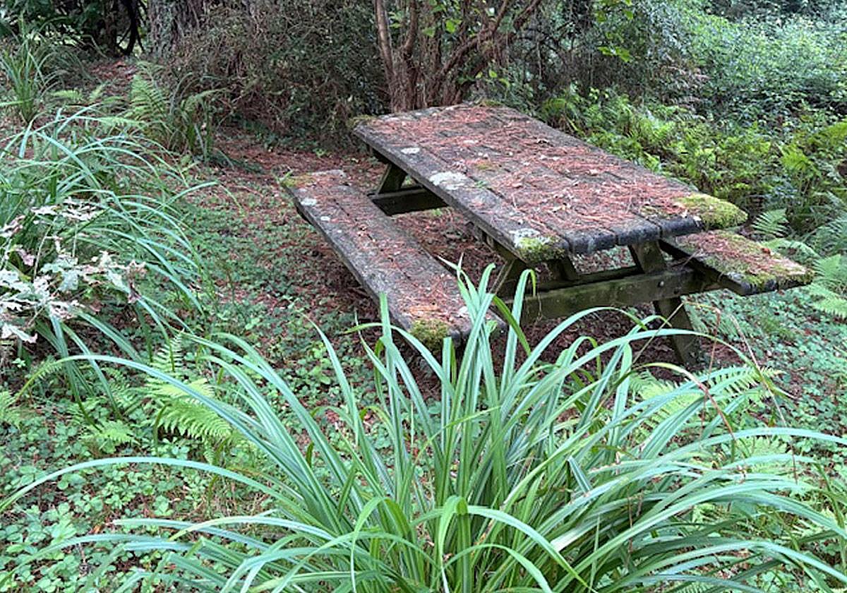 La zona recreativa de Miramón abandonada