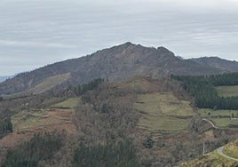 El Ayuntamiento adquiere nuevos espacios del monte Urko para la recuperación de la biodiversidad.
