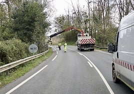 Operarios limpian la carretera de Chillida Leku donde un árbol ha obligado a cortar un carril de la circulación.