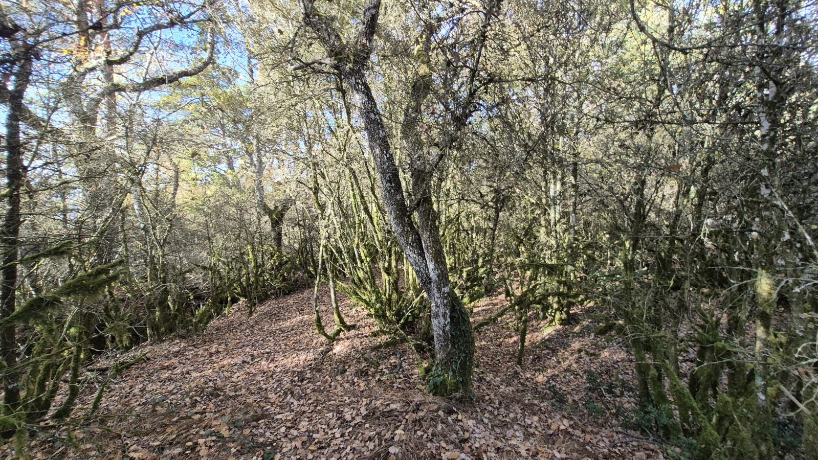 Irulegi, testigo de episodios históricos