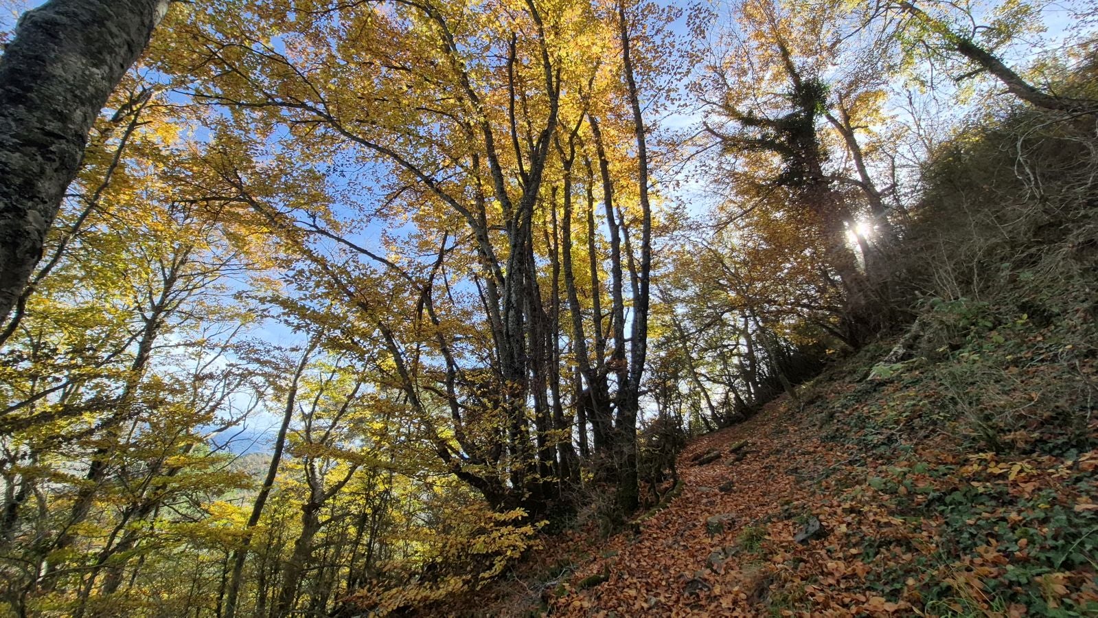 Irulegi, testigo de episodios históricos