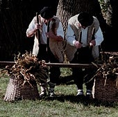 'Guipúzcoa' dokumentalaren irudi bat.