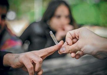 Euskadi exporta marihuana a Europa y sitúa a los adolescentes a la cabeza del consumo