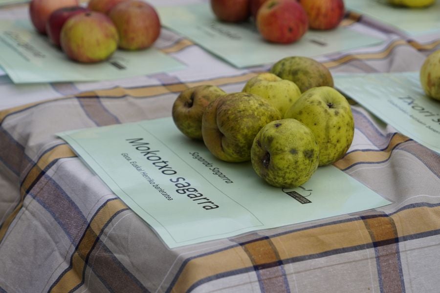 Sagar festa Gabirian