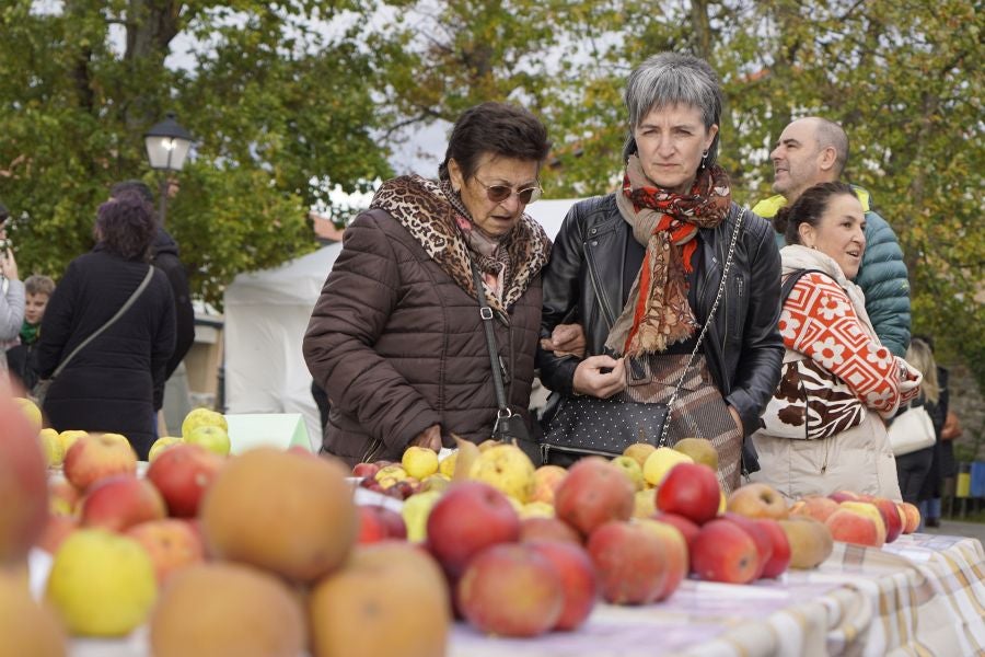 Sagar festa Gabirian