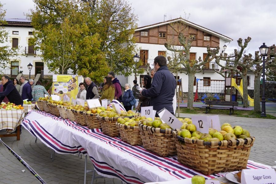 Sagar festa Gabirian