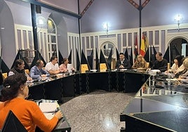 Imagen del Pleno extraordinario celebrado el pasado 13 de noviembre.