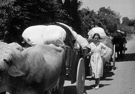La huida y la lucha contra el hambre