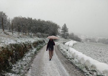 Bidania encabeza las mínimas de una madrugada heladora
