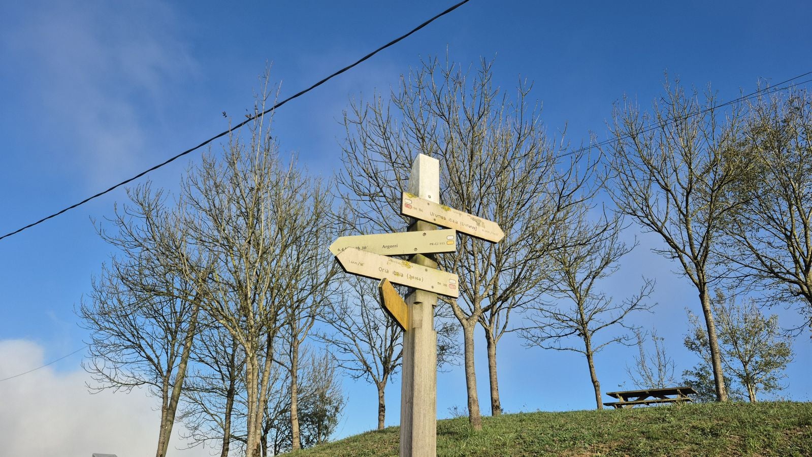 El increíble lienzo de Tolosaldea