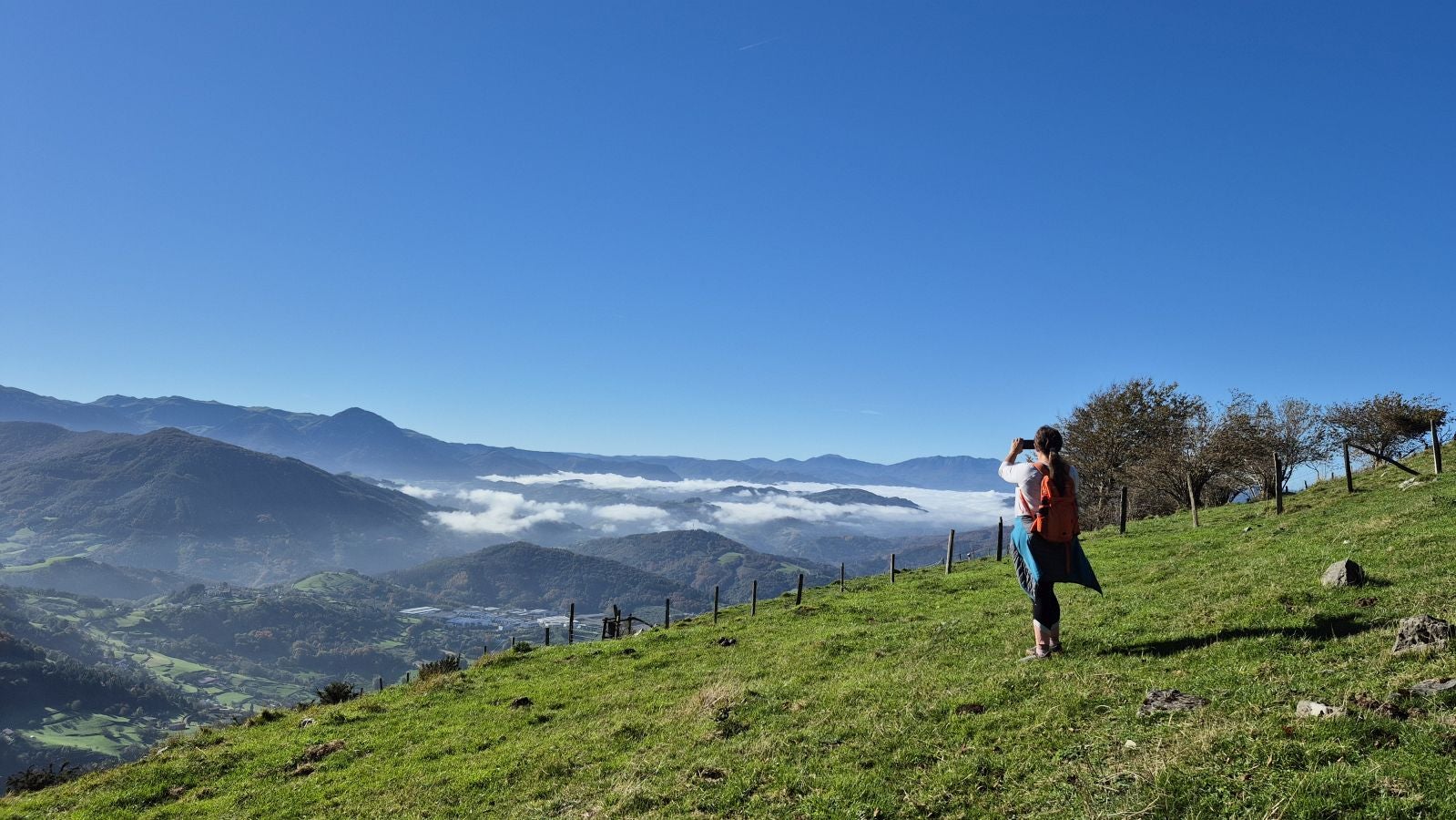El increíble lienzo de Tolosaldea