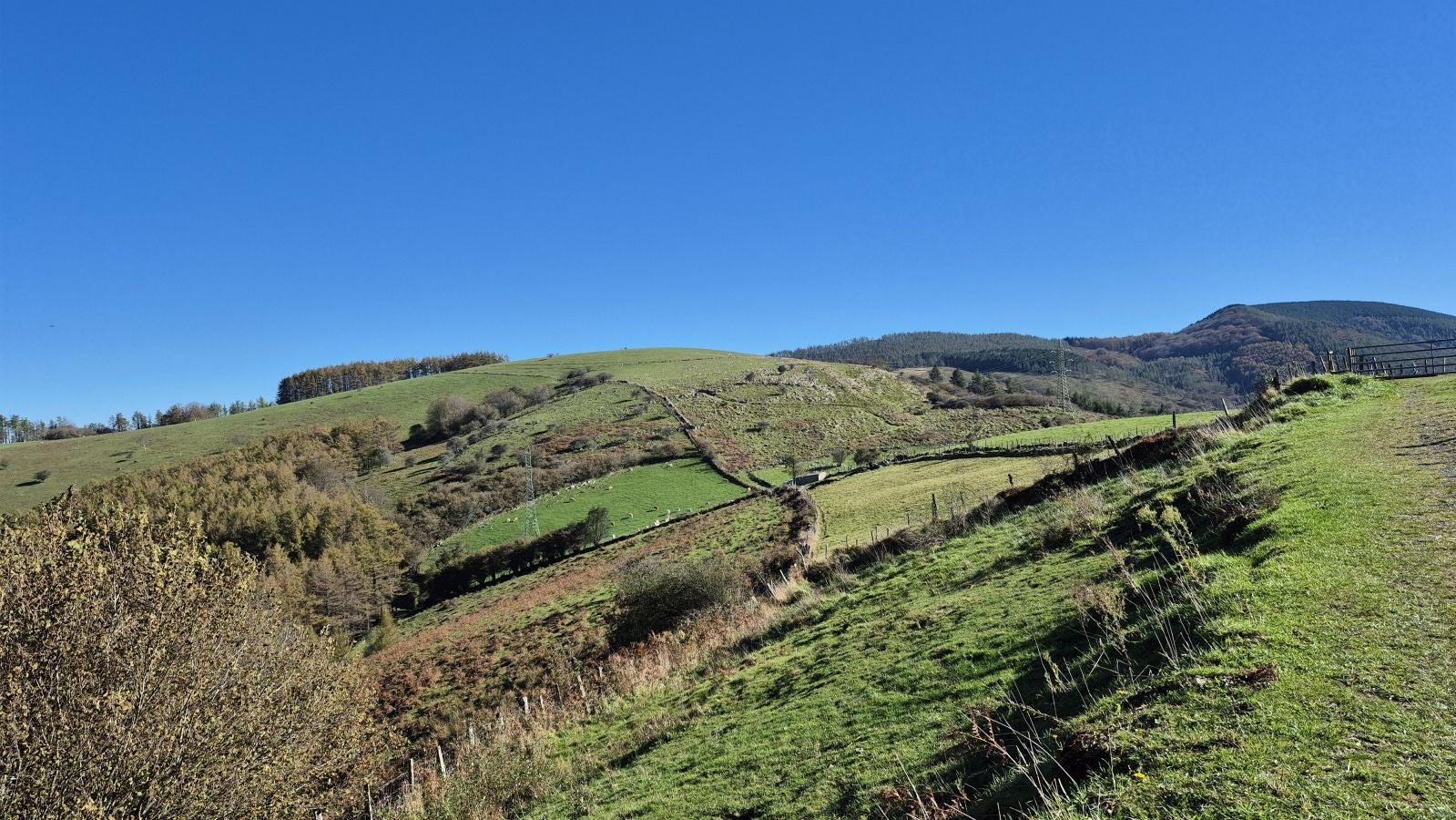 El increíble lienzo de Tolosaldea