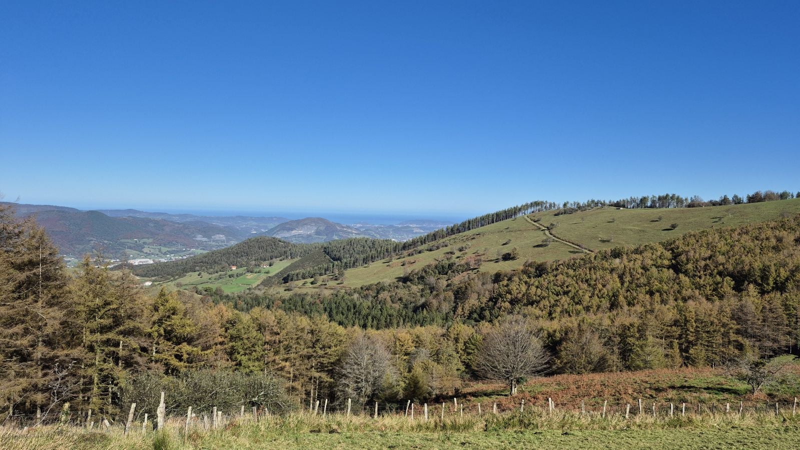 El increíble lienzo de Tolosaldea