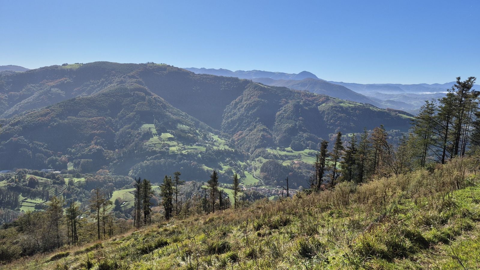 El increíble lienzo de Tolosaldea
