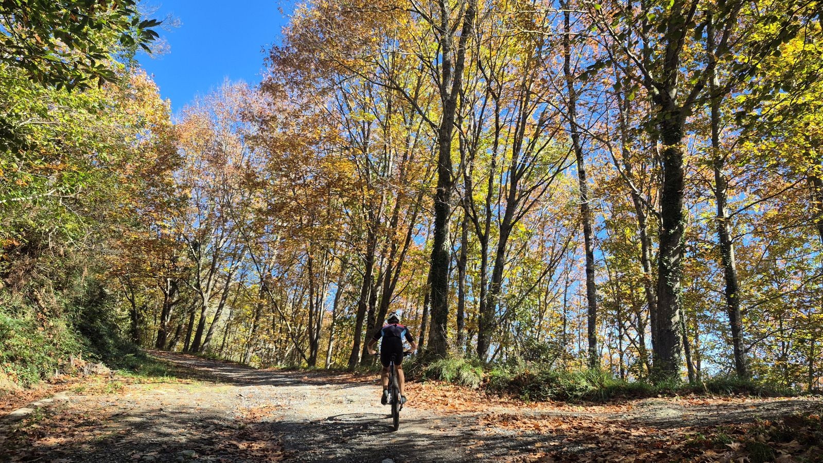El increíble lienzo de Tolosaldea