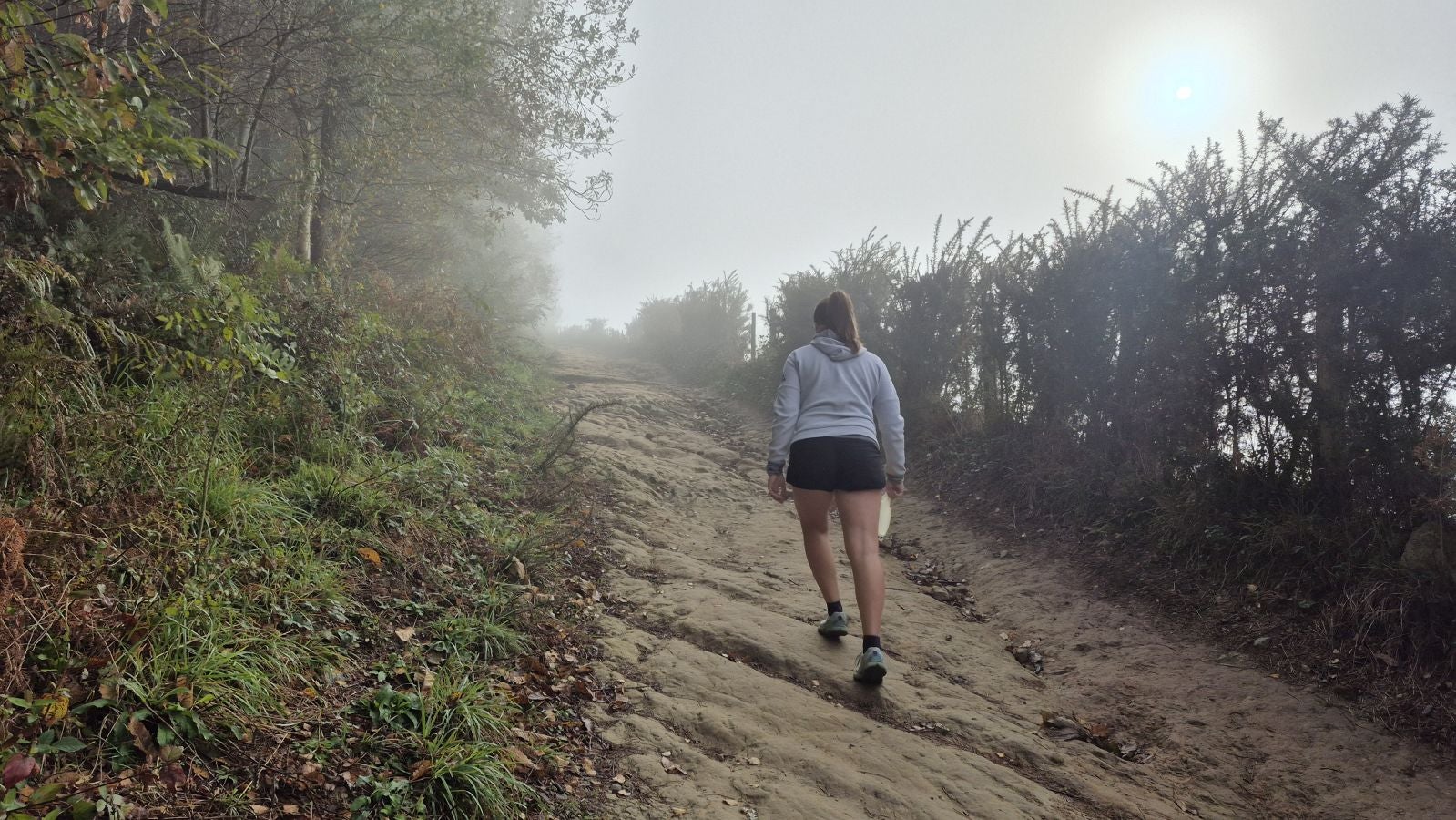 El increíble lienzo de Tolosaldea