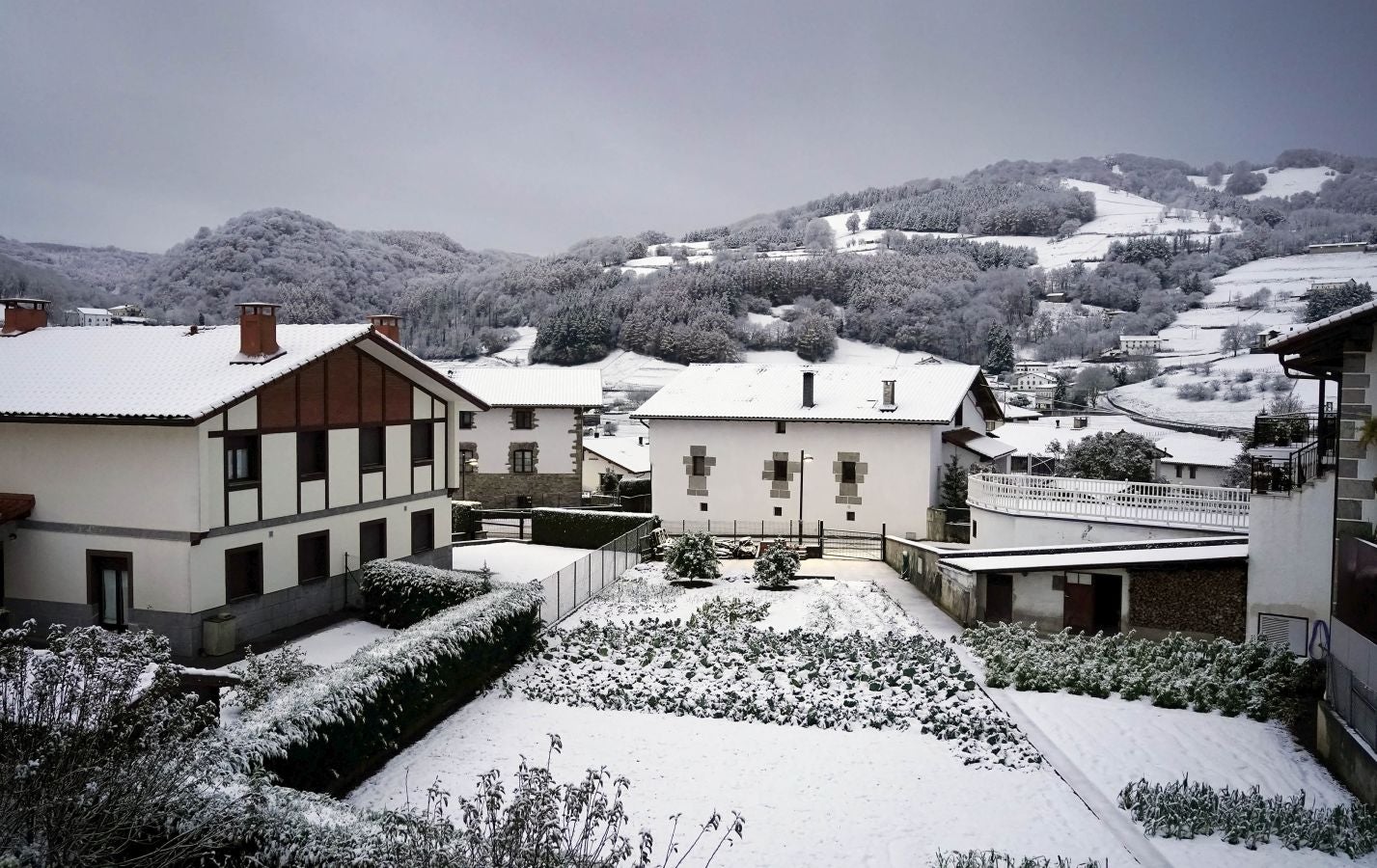 Jardines y montes de Berastegi nevados. 