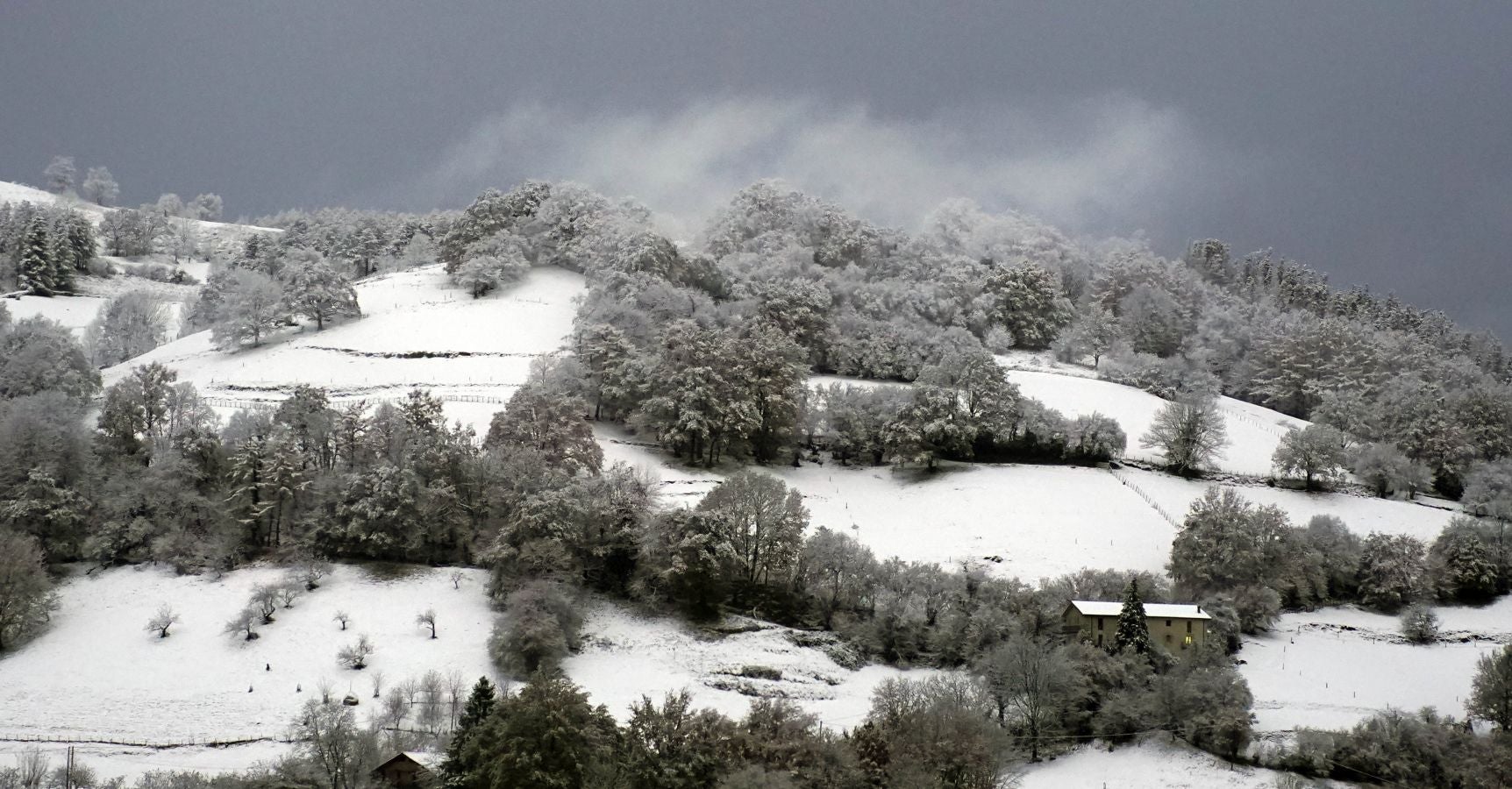 Jardines y montes de Berastegi nevados. 