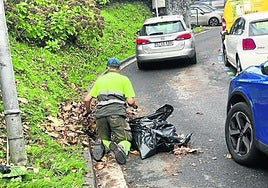 José Gabriel nos envía la fotografía, capatada en la parte alta de Amara Viejo, acompañada del siguiente comentario: «En San Roque, si se podara en verde, no veríamos la imagen de un operario de FCC recogiendo a mano porque hoy no hay máquina barredora. Y así todos los otoños. Lamentable».