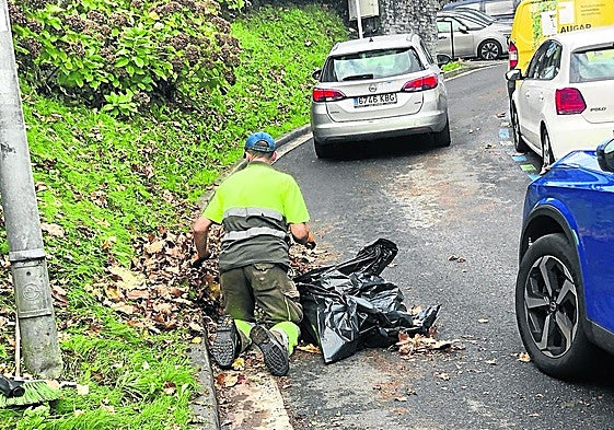 José Gabriel nos envía la fotografía, capatada en la parte alta de Amara Viejo, acompañada del siguiente comentario: «En San Roque, si se podara en verde, no veríamos la imagen de un operario de FCC recogiendo a mano porque hoy no hay máquina barredora. Y así todos los otoños. Lamentable».