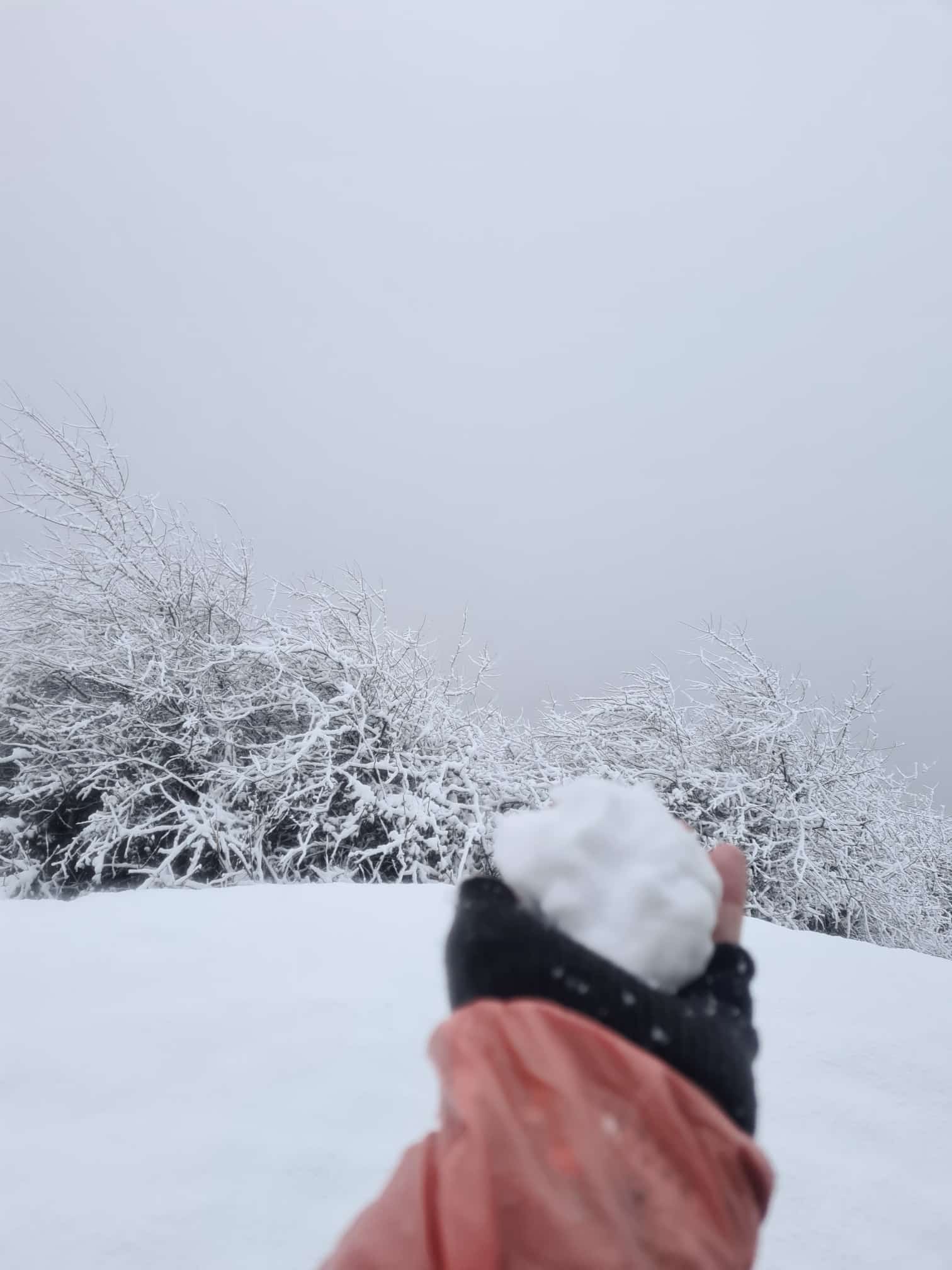 Primeras imágenes de postal en las cimas de Urola Garaia