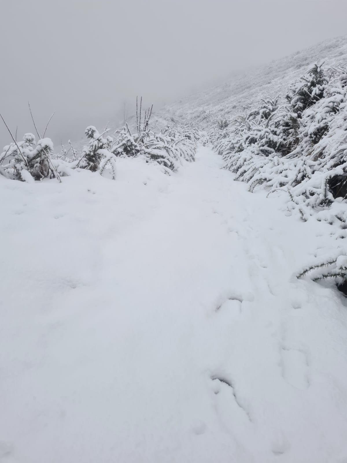 Primeras imágenes de postal en las cimas de Urola Garaia