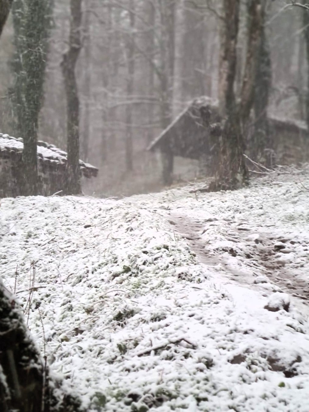 Primeras imágenes de postal en las cimas de Urola Garaia