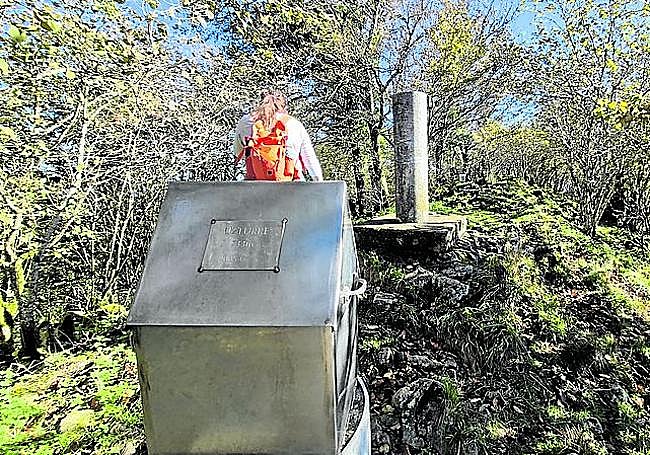 Buzón y punto geodésico semioultos entre los avellanos y demás arbustos de la zona.