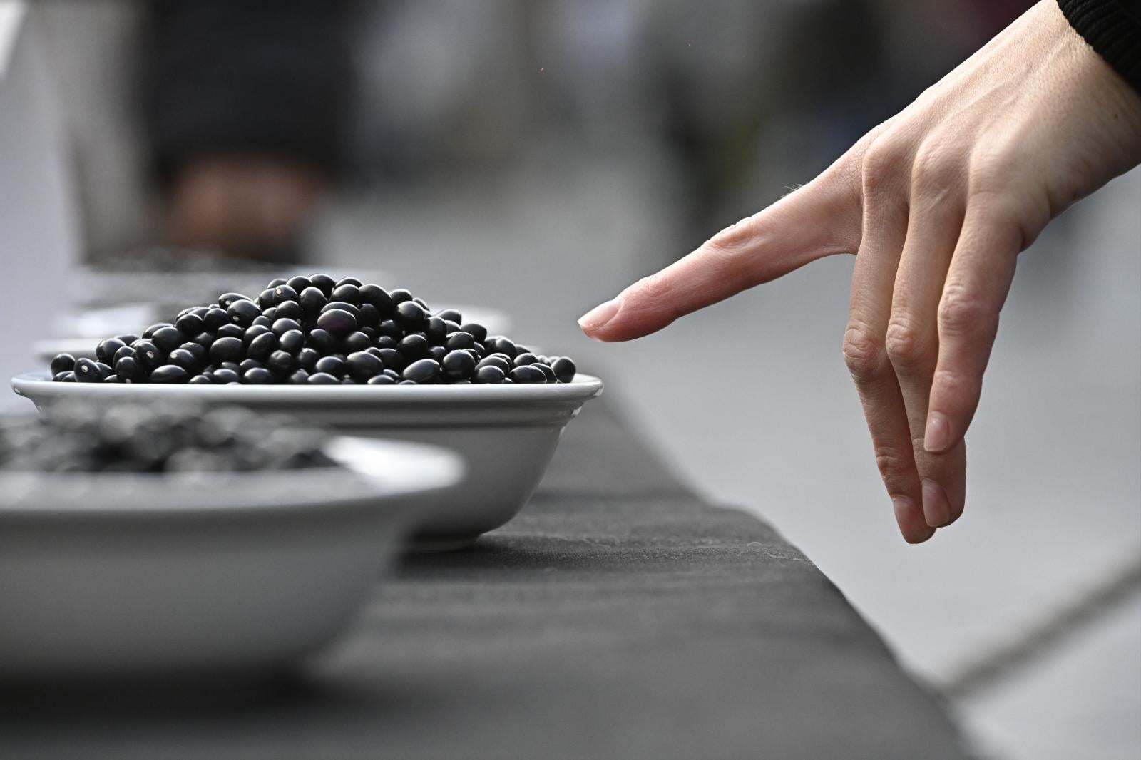 Tolosa se llena de sabor y cultura en el fin de semana de Santa Cecilia