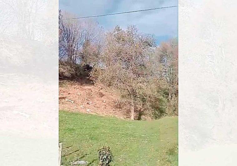 El entorno del Vertedero Aizmendi en Donostia, también es un vertedero