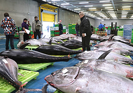 Imagen de archivo de lonja de Pasaia.