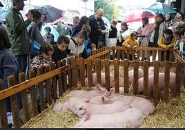 No se verá la tradicional estampa de cerditos y gallinas en Ikurriña plaza.