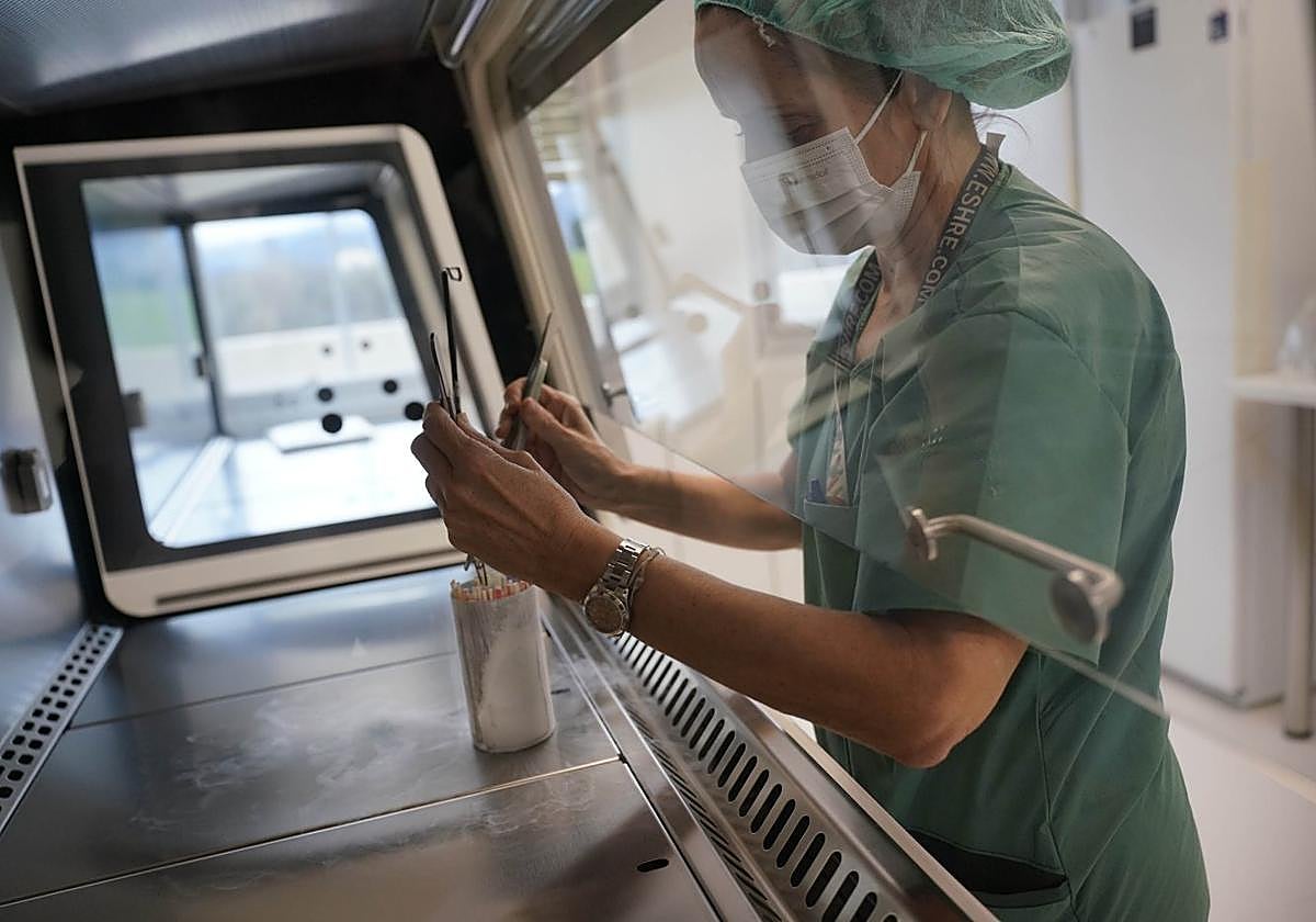 Una sanitaria trabaja en el laboratorio de la unidad de reproducción asistida del Hospital Donostia.