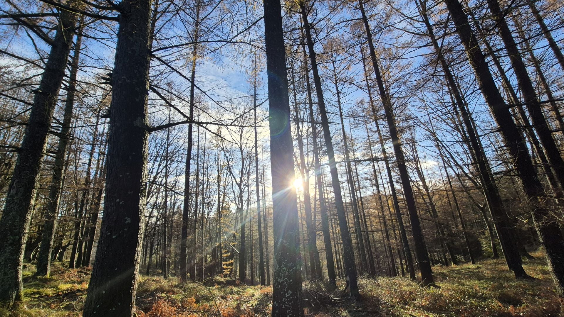 Las mejores imágenes del monte Ulizar