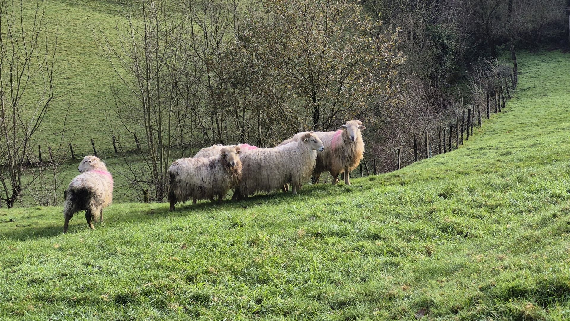 Las mejores imágenes del monte Ulizar