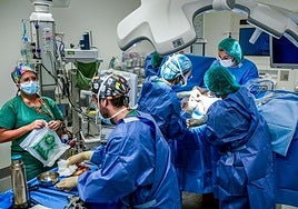 Las listas de espera de Osakidetza, centro por centro