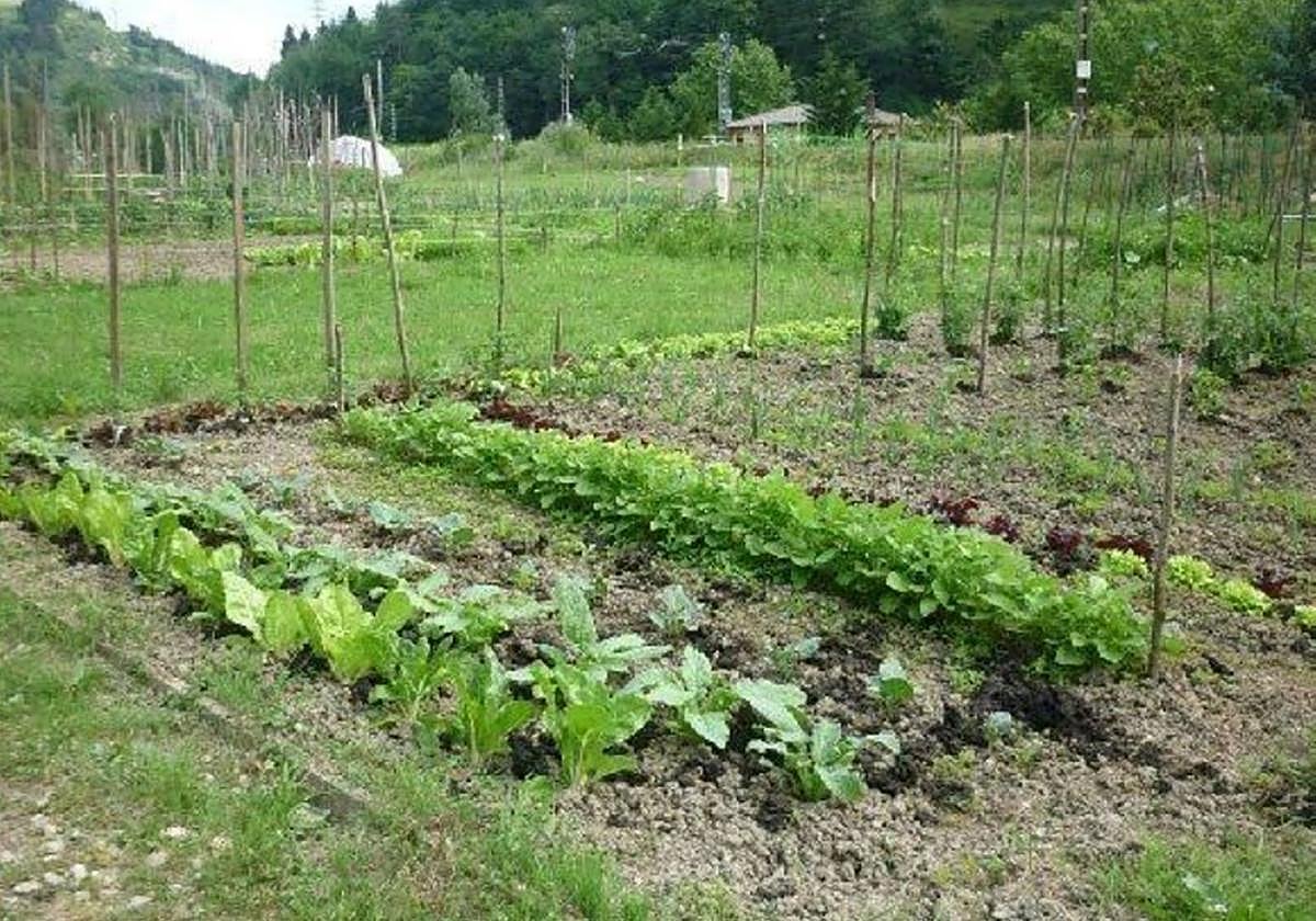 Desde el Ayuntamiento se prepara el relevo para llevar a cabo la entrada de los nuevos adjudicatarios.