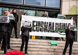 Los jóvenes de Ernai, este miércoles durante la protesta en los juzgados de Donostia.