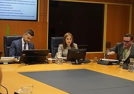 La consejera María Jesús San José durante su comparecencia.