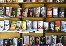 Vista de una estantería en la librería Donosti.