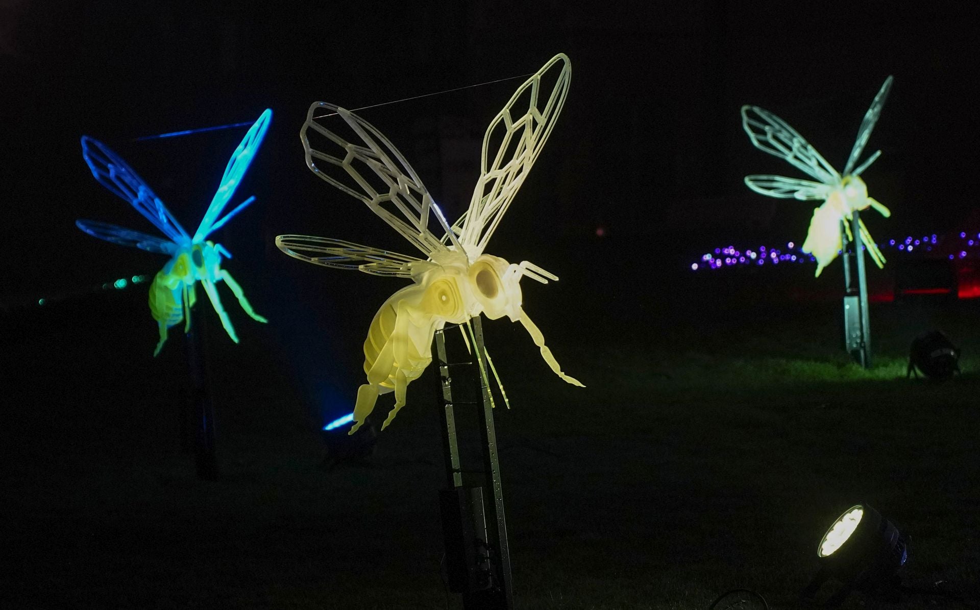 Miramar Magikoaren irekiera ekitaldia