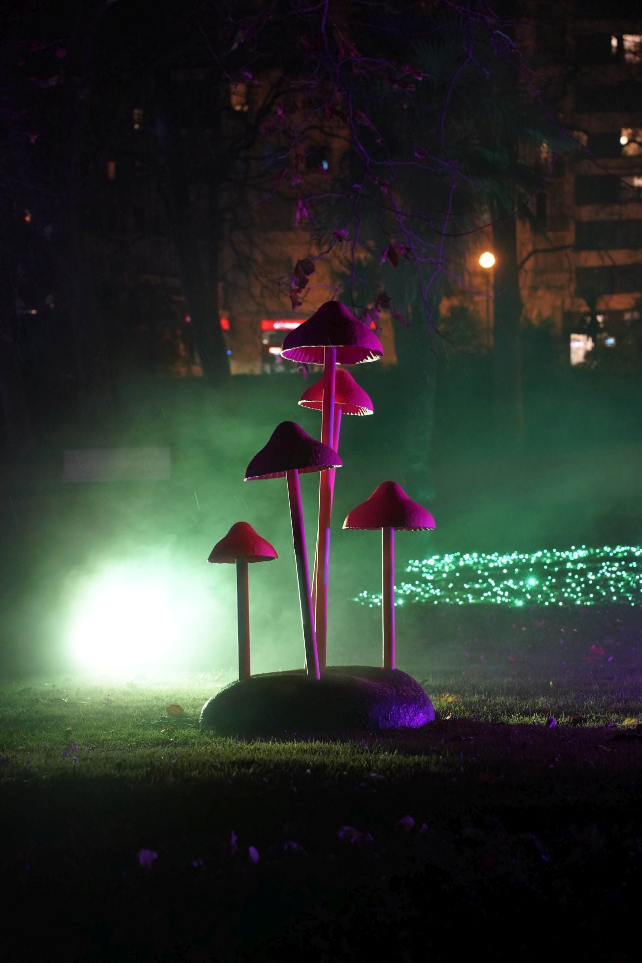 Miramar Magikoaren irekiera ekitaldia