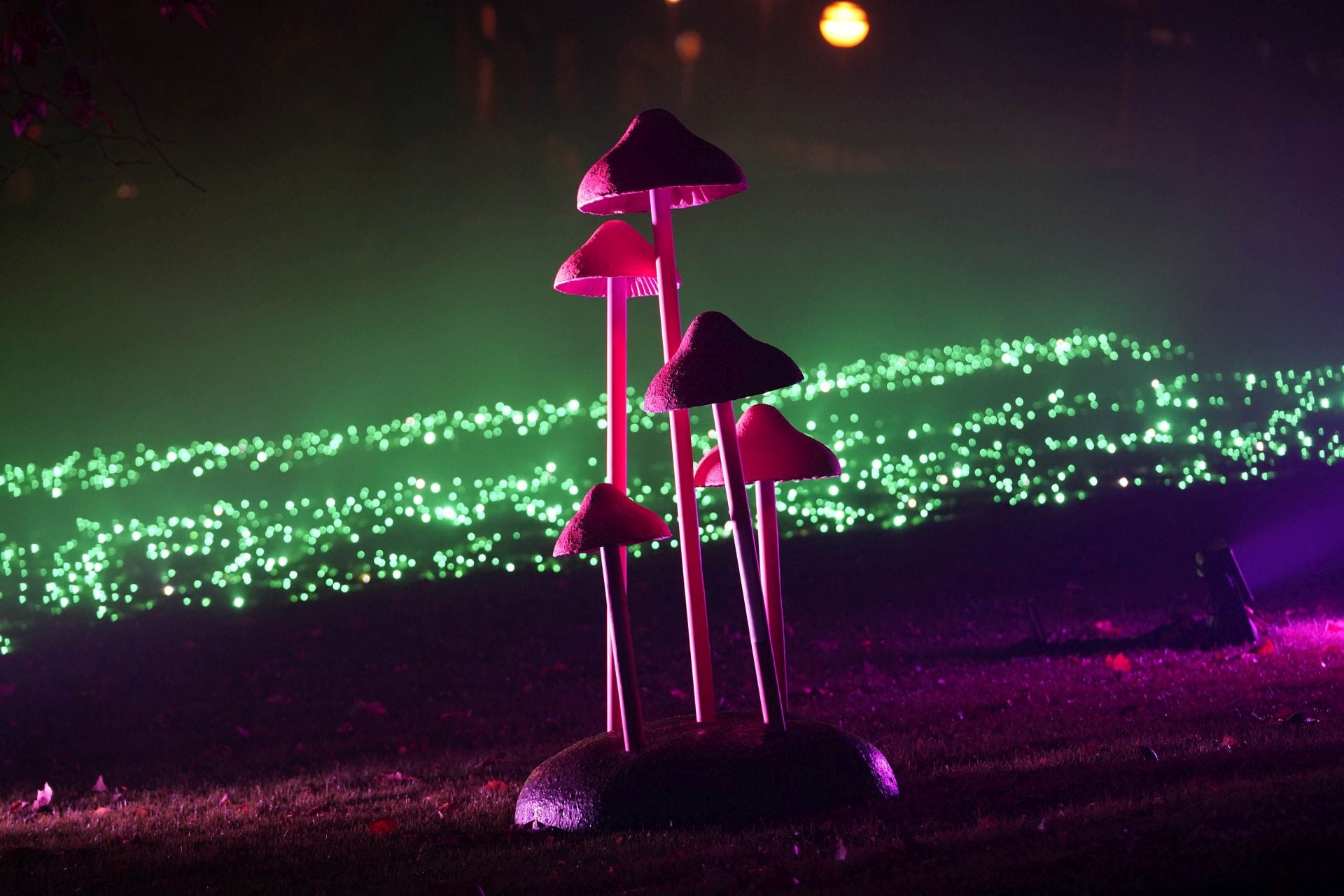 Miramar Magikoaren irekiera ekitaldia