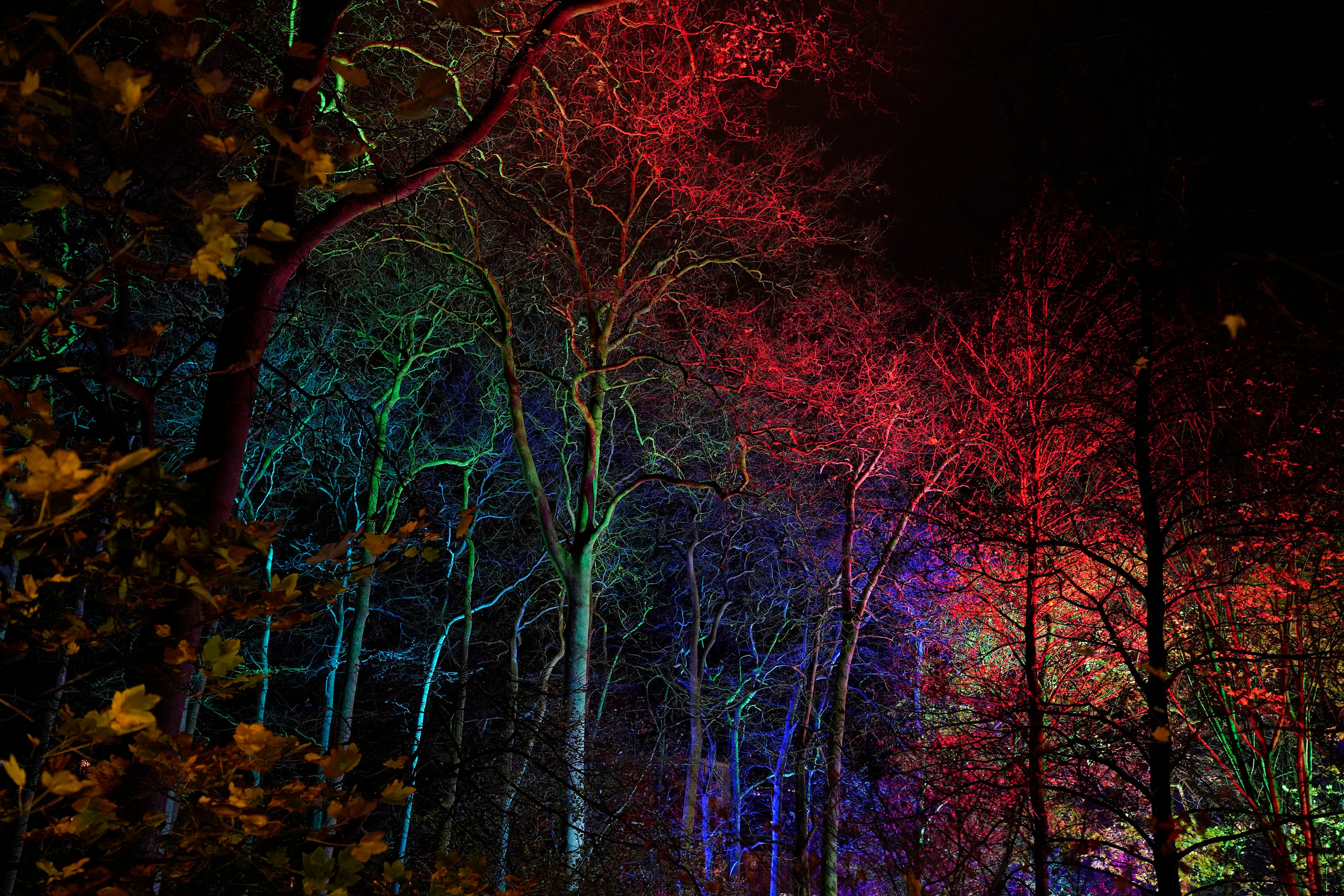 Miramar Magikoaren irekiera ekitaldia