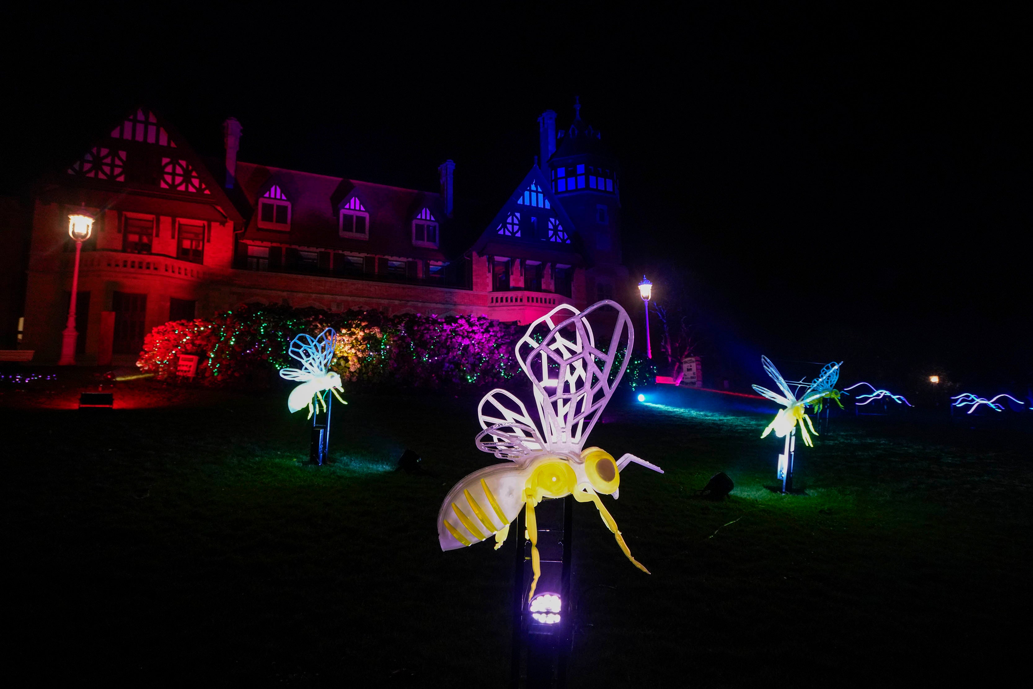 Miramar Magikoaren irekiera ekitaldia