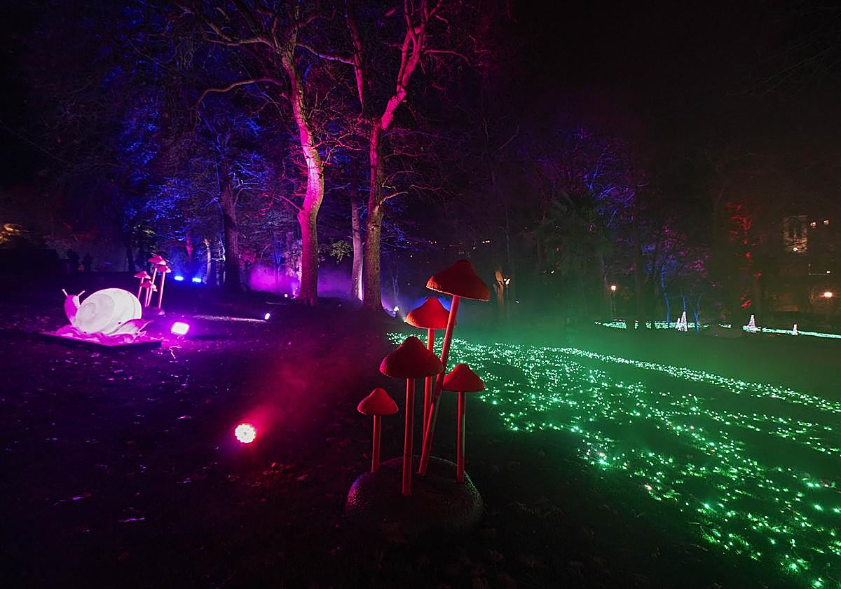 Miramar Magikoaren irekiera ekitaldia