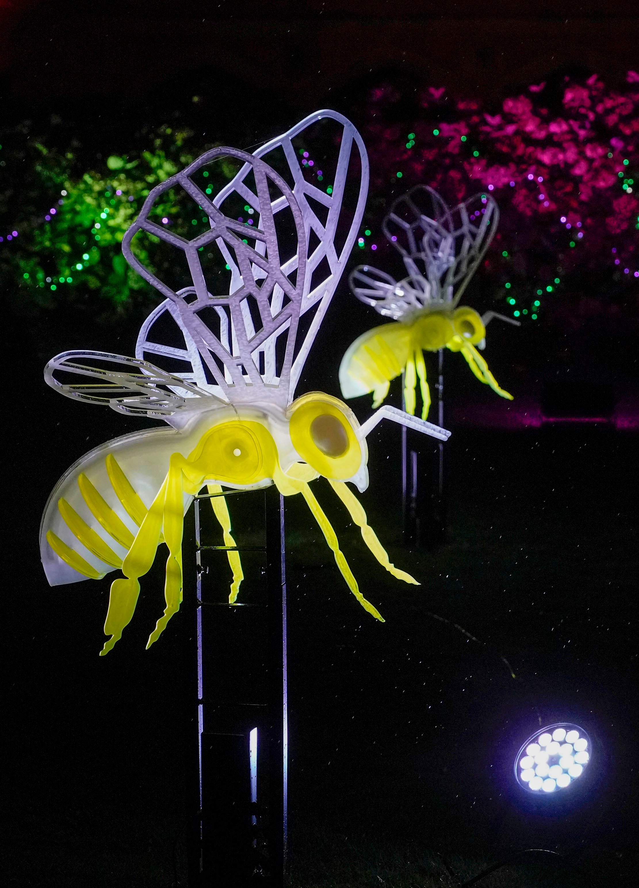 Miramar Magikoaren irekiera ekitaldia